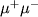 $\mu^+ \mu^-$